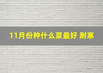 11月份种什么菜最好 耐寒